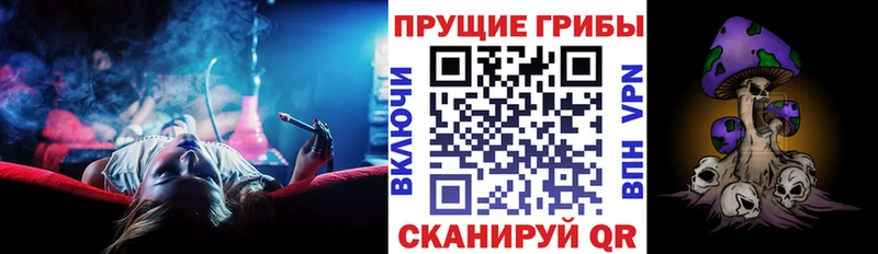 Псилоцибиновые грибы мицелий  Власиха 