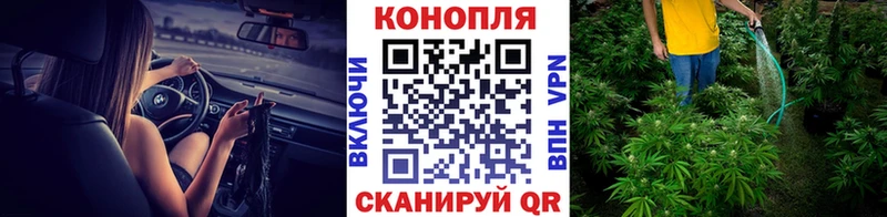 OMG ONION  хочу   Власиха  МАРИХУАНА White Widow 